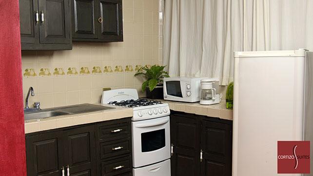 Cortizo Suites Сан Мигел де Аленде Екстериор снимка